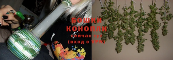 шишки Ладушкин
