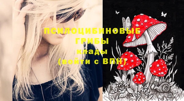 шишки Ладушкин