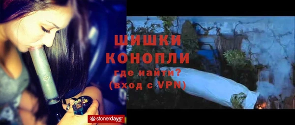 крисы Куйбышев