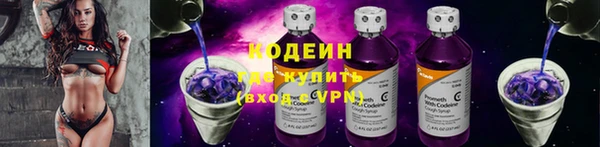 ECSTASY Лагань