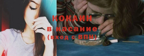 шишки Ладушкин