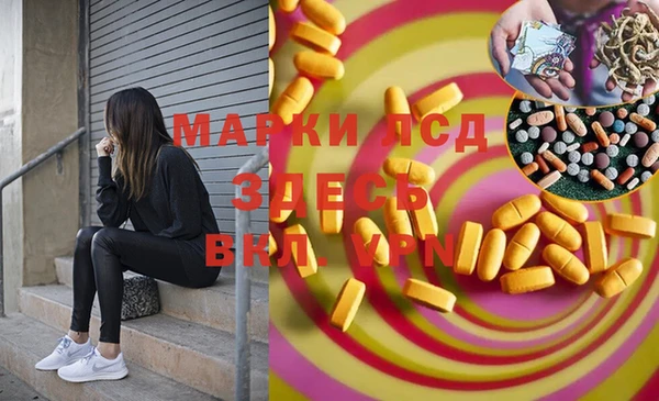 ECSTASY Лагань