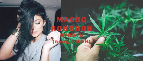 шишки Ладушкин