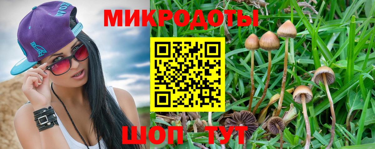 Псилоцибиновые грибы GOLDEN TEACHER Узловая