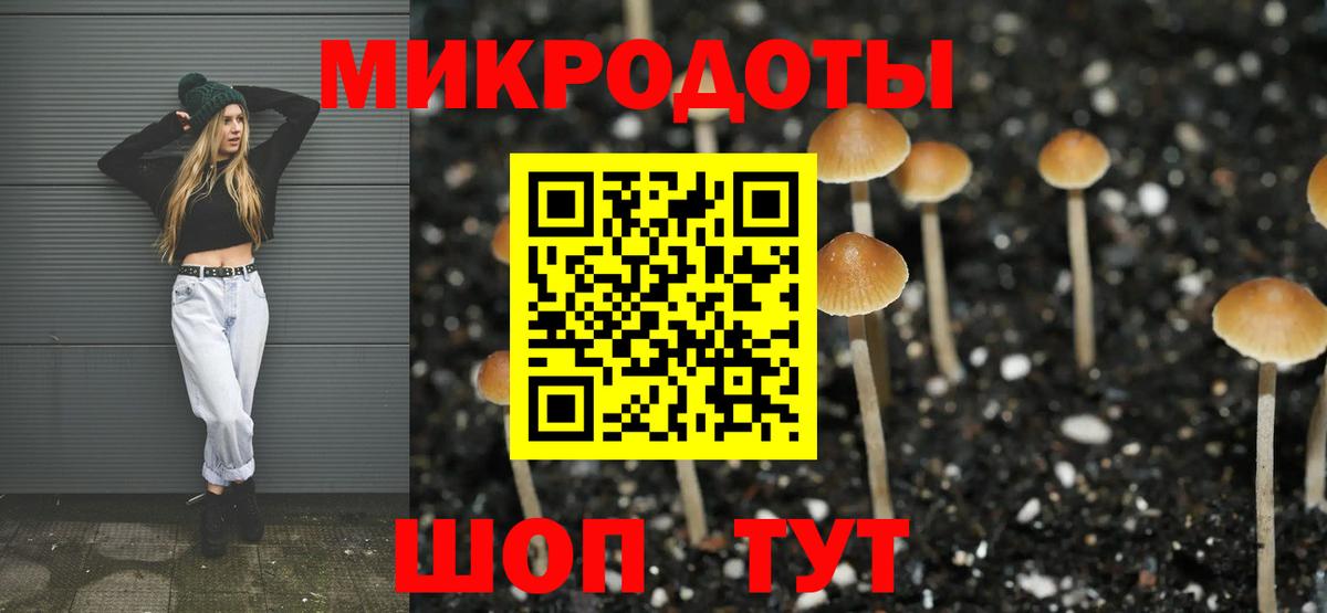 Узловая  Псилоцибиновые грибы Psilocybe  Вход с VPN 